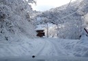 Karadenizin yaylalarını gelinlikleriyle izliyoruz HD