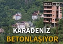 Karadeniz yaylaları betonlaşıyor