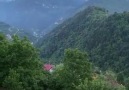 Karadeniz yaylaları - Görmesini istediğin arkadaşlarını etiketle