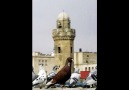 karakaşın gözlerin sürme (ş.urfa yöresi)