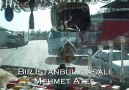 Karar Sende Nuri Abii (BİR İSTANBUL MASALI)