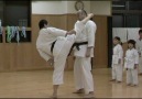 Karate according to Masao Kagawa