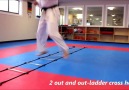 Karate Kumite-Specific Speed Agility and Quickness Training Pr...