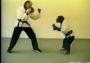 Karate Monkey