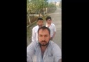 kardeşlik ve kardaşlık