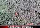 Karıncanın Türk bayrağı sevgisi
