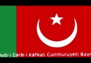 KARS cenub-i garb-î kafkas hükümeti anayasası