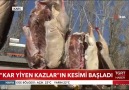 Karsımızın meşhur kazları TGRT Haberde - Kars&Değerleri