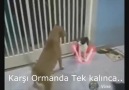 Karşı ormanda tek kalınca ben :d