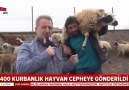 Karstan Mehmetçiğe anlamlı destek...!HELAL OLSUN...!