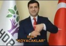 1 Kasım'da HDP :D