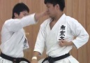 Kata and Bunkai