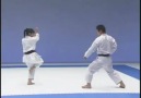 Kata Empi Shotokan