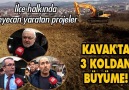 Kavakta 3 koldan büyüme! OKU YORUMLA ve PAYLAŞ Samsun Canlı Haber