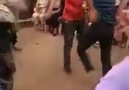 Kavga Çıkan Çiftleşme Dansı