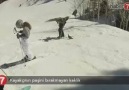 Kayakçının peşini bırakmayan keklik