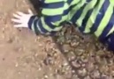 Kaydıraktan Kayamayan Bebek