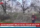 KAYISININ BAŞKENTİ MALATYADA YÜZLER GÜLÜYORHABER @cansrcnn