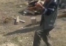 Kayıtçı Derviş Dayımız ) Yılandan korkan tikli dayı