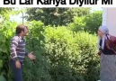 Kaynartaş - yeminle öldüm gülmekten sonu çok beter...