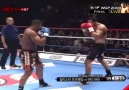 k-1 Badr hari nakavtlar