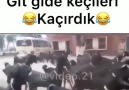 Keçiler kaçıyor D D