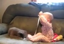 Kedi bebeği gülmekten kırdı :)