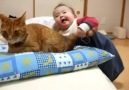 kedi bile çocuğa kıyamıyor :)