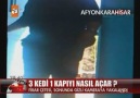 3 Kedi Bir kapıyı Nasıl Açar?