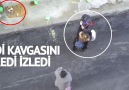 Kedi kavgasını kedi izledi