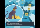 Kediler Dünyaya Nasıl Yayıldı Via Ajanimo