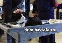 Kedi sevmek dünyadaki en büyük moral kaynağıdır hastalar için bile...