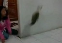 Kediyi Korkutan Kız :))