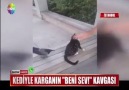 KEDİYLE KARGANINBENİ SEV! KAVGASI