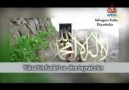 KELHAAMED ŞİİRİ...ŞEHİD REHBER&KALEMİNDEN...