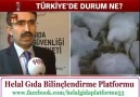 Kemal Özer, Tavukları anlatıyor