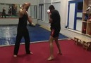 Kempo. Mawashi geri