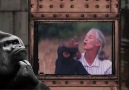 Kendimizi Tanıyalım: Aşağılık Maymunlar