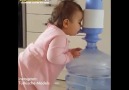 Kendi Su İçme Yöntemini Geliştiren Sevimli Bebek