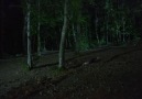 Kertenkele 67. Bölüm 2. Fragmanımız
