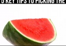 5 Key Tips To Picking The Perfect Watermelon