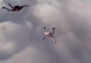 Khmer Various Videos - ! - WOW! That Guy Skydiving Without Parachute