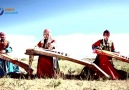 Khongor mori - Munkh-Erdene