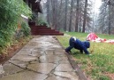 Kid Discovers Rain Puddle And Gravity