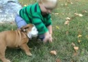 Kids vs Dogs! Subscribe I Love Dogs Youtube channel