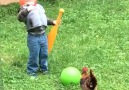 Kids vs roosters!
