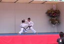 Kihon-ippon Kumite