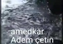 Kilamo Memo Zine!(Müthiş bir düet)