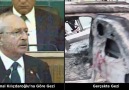 Kılıçdaroğluna göre - Gerçekte Gezi Parkı..Hiç utanmıyor hiç..