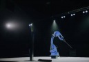 Kılıç Kullanma Ustası Robot